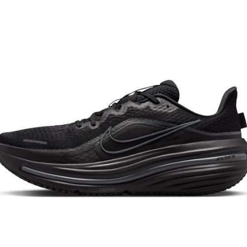 NIKE☆AIR WINFLO 12