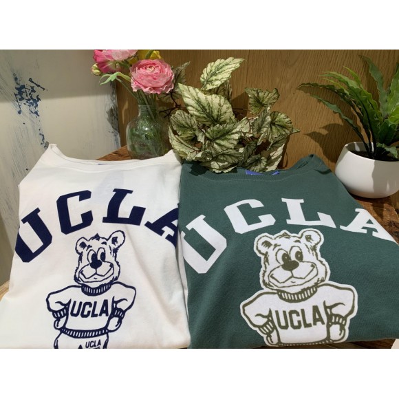UCLA 大流行のオーバーサイズTシャツ新入荷！