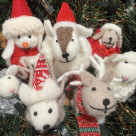 非常適合聖誕節!摩科動物的介紹☆豫