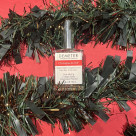 ★《DEMETER》POPUP的通知★