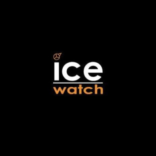 期間限定 ice watch ☆ミ