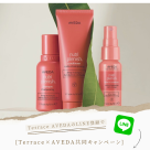 Terrace × AVEDA キャンペーンSTART！