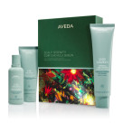 BOX AVEDA วันหยุด