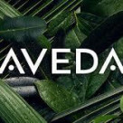 店内で試飲いただけます☆ AVEDAの◯◯◯ティー