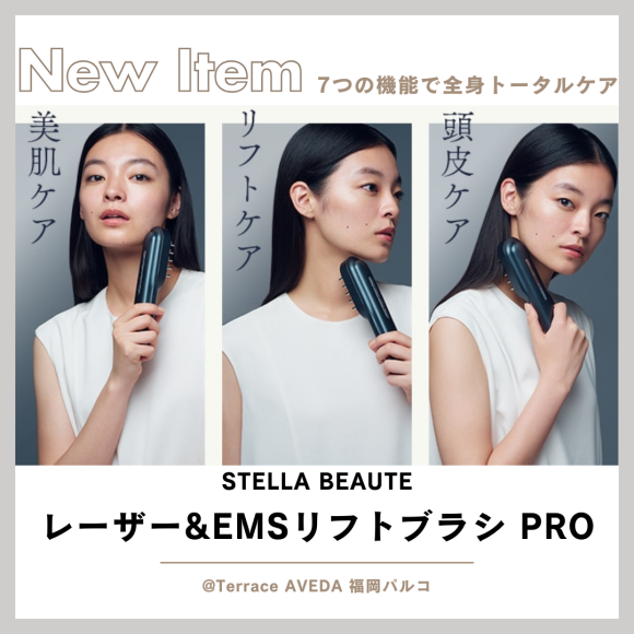 ステラボーテからデビュー！