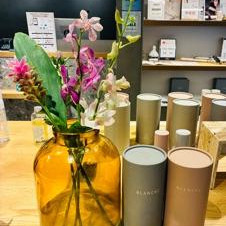 今週のお花（Terrace AVEDA）