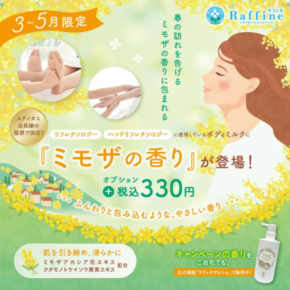 期間限定 ミモザの香り