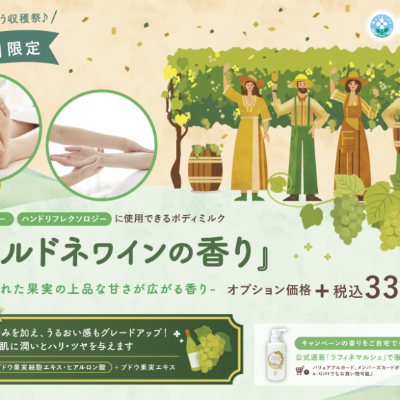 期間限定オプションのご案内！