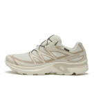 【SALOMON XT-EVR GTX W】