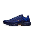 【NIKE AIRMAX PLUS OG】