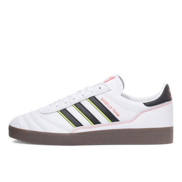 【GAZELLE TEAM】