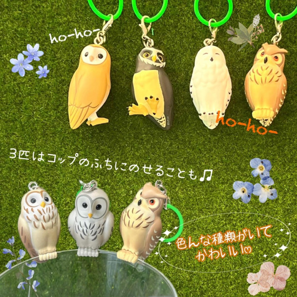 【ヨーコりん】カラフルなフクロウのチャーム 12個セット フクロウマーカーチャーム/ │ 福岡PARCO-パルコ-