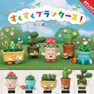 \ タカハシカオリ すくすくプランターズ！/