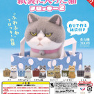 \紙袋に入った猫　フロッキー2/