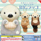 ＼かわいいかわいいぬいぐるみBIGラッコ／