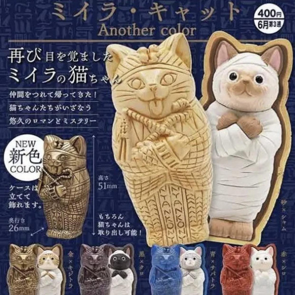 \ミイラキャットAnother color/