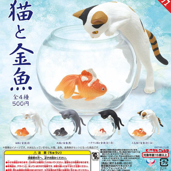 ＼猫と金魚／