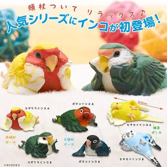 \ Relaxing parakeet /