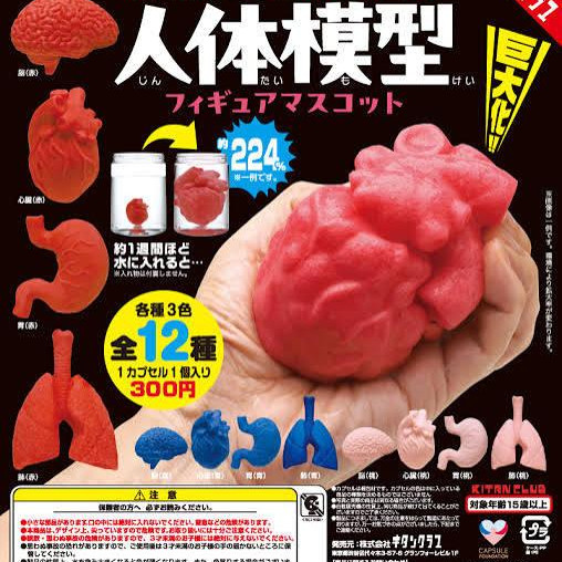 放入水中会膨胀的人体模型吉祥物/