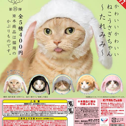 \かわいいかわいいねこうさぎちゃん〜たれみみ〜/