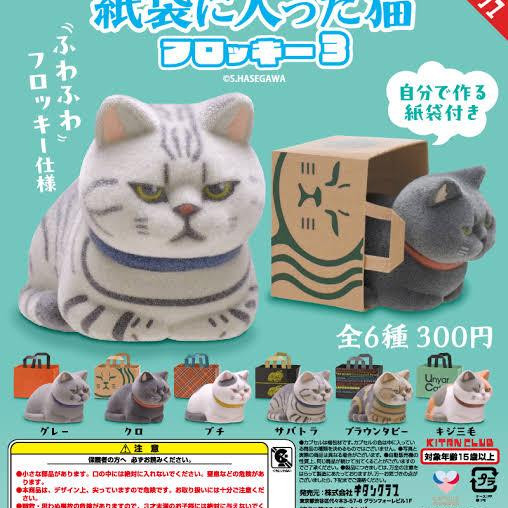 \紙袋に入った猫　フロッキー3/