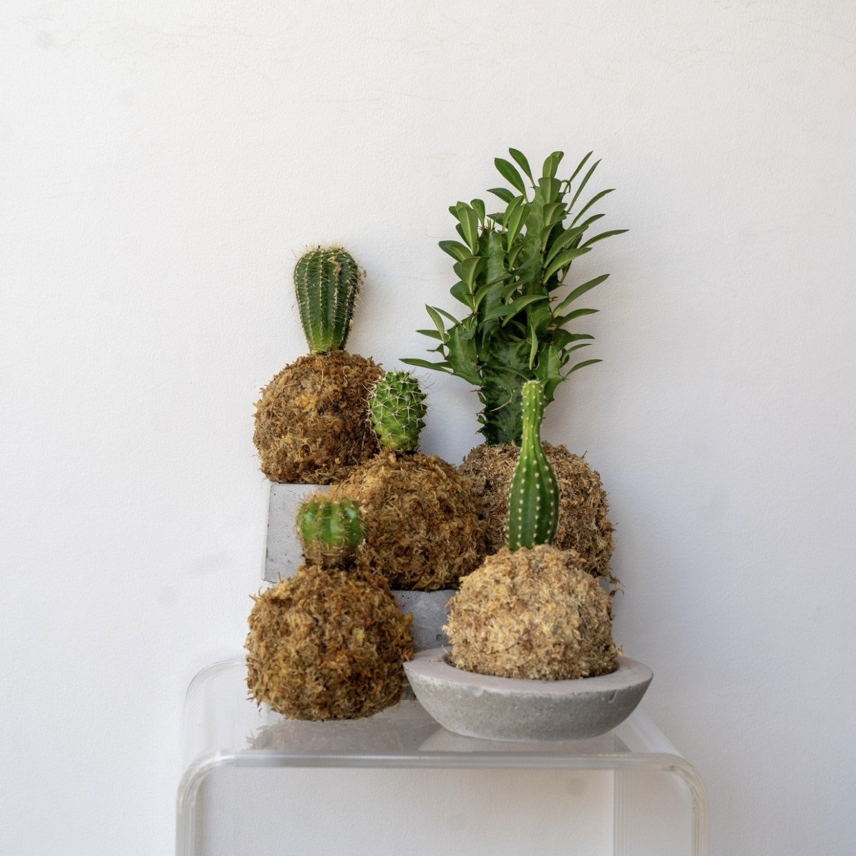 ４YOU / SUPPORT 4 YOUR LIFE