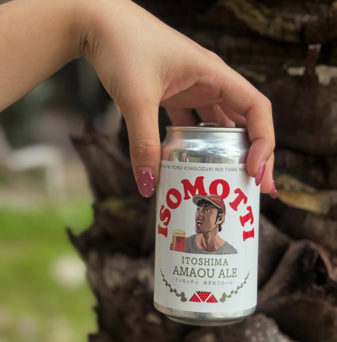 【いちごや cafe TANNAL】クリスマスケーキ販売！