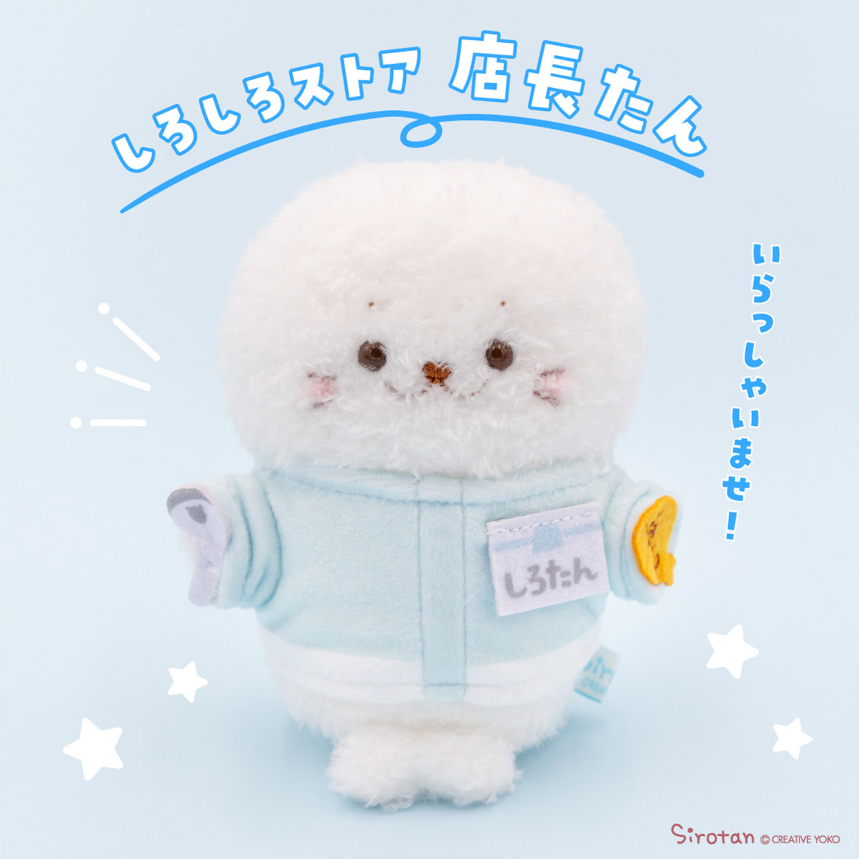 しろたんPOP UP STORE