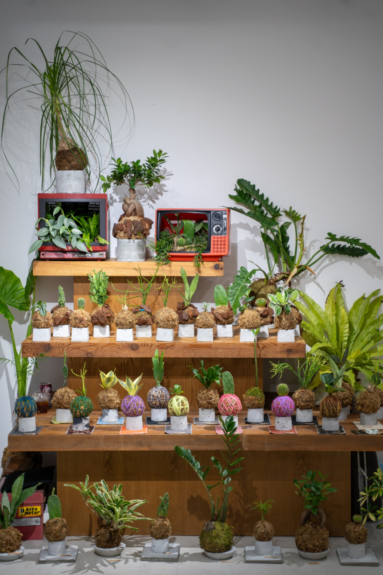 植物屋POPUP