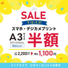 Smartphone / digital camera print A3 size half price!