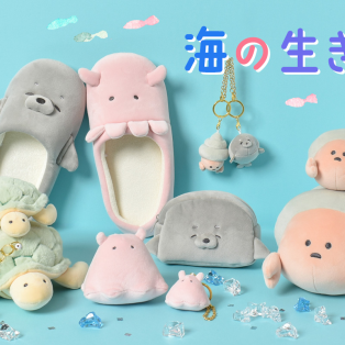 海の生き物⭐︎第二弾