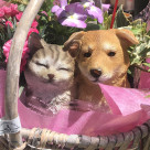 ＜10日～12日＞母の日ギフト特設販売！