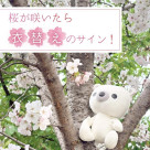 衣替えの季節です！