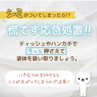 おうちでのしみ抜き方法