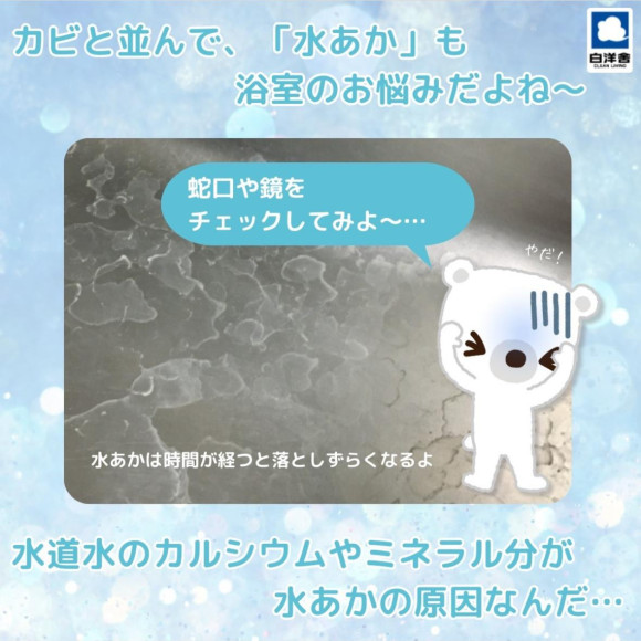 浴室のお手入れ　②   ハウスクリーニングのオススメ