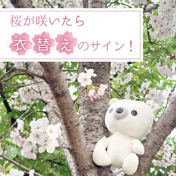 衣替えの季節です！