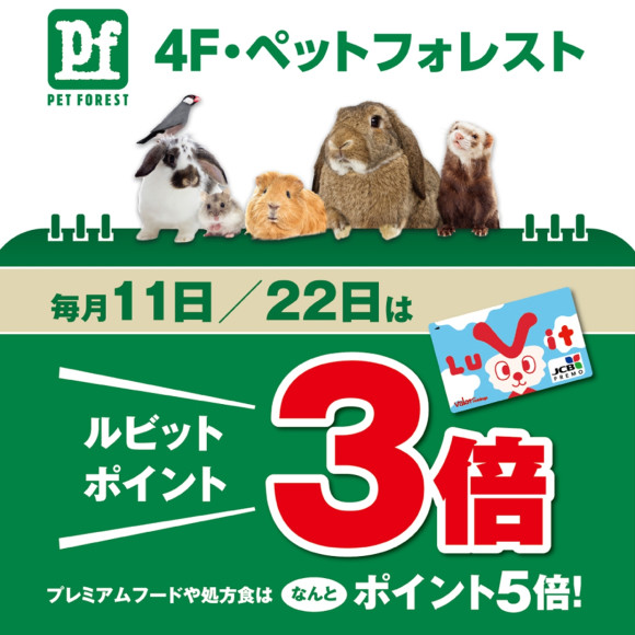 【4F・ペットフォレスト】毎月11日・22日はポイント3倍！トリミングもご予約受付中！