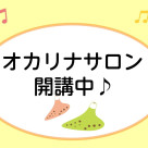 大人のためのオカリナ予約制レッスン♪