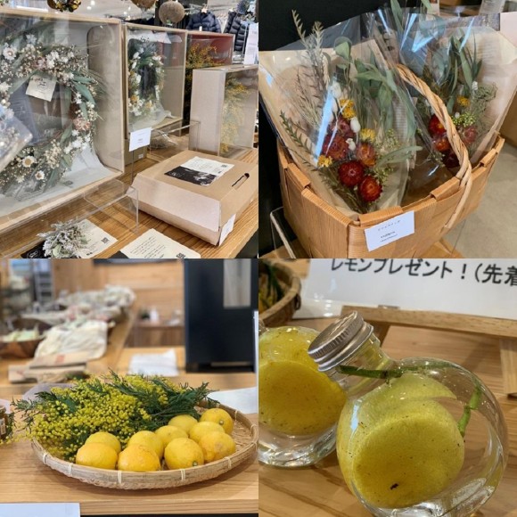 広島つながる商店『太陽樹林』『シトラスガーデンにのしま』｜イベントレポート