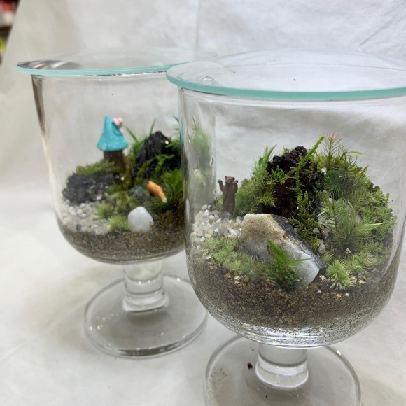 ステムグラスで苔テラリウム｜イベントレポート