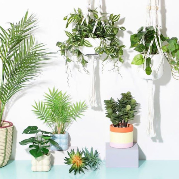 \[New work] Art green that brings healing to busy days…♡／