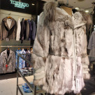 年に一回のハイエンドモデル