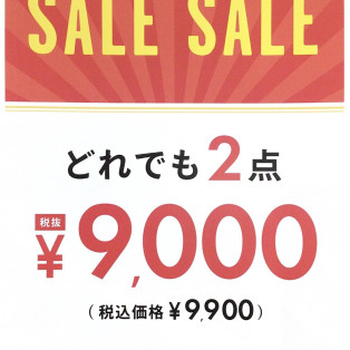 どれでも2点9,000円(税抜)