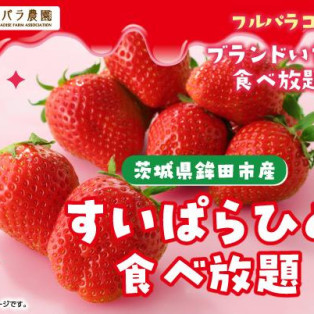 【2/1～】国産ブランドいちご食べ放題第2弾「すいぱらひめ食べ放題」開催決定♪