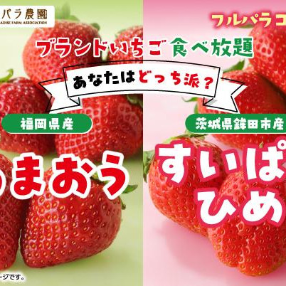 【4/10~】国産ブランドいちご食べ放題第4弾「あまおうorすいぱらひめ あなたはどっち派？」開催決定♪