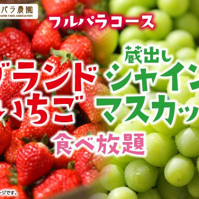 【1/10～】 "All-you-can-eat Japanese Brand Strawberry & Kradeshi Shine Muscat" held♪