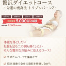 先進の痩身法 トリプルバーンZ