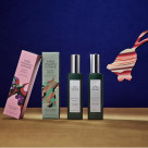 11/13发布【2025 collection】