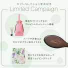 2026 ギフトコレクション 発売記念キャンペーン！