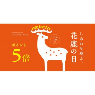 ポイント5倍キャンペーン◎花鹿の日